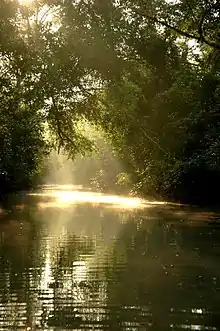 Image 5alt=Boat on a river in a densely forested plain. (from Culture of Bangladesh)