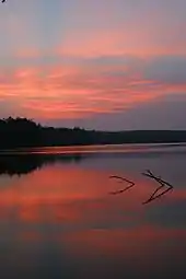 Pink clouds in a dark purple-blue sky are reflected in a smooth lake. At the horizon is a line of dark trees, and two branches stick out of the water in the middle of the image.