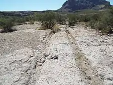 Wagon Wheel Tracks with the Picket Post Mountain in the background