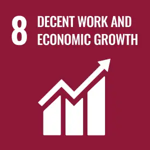 Sustainable Development Goal 8