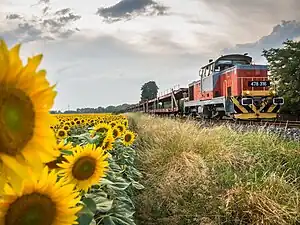 Freight train in Hungary