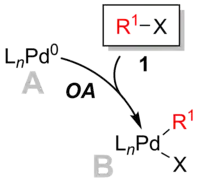 Oxidative addition step in Suzuki coupling.