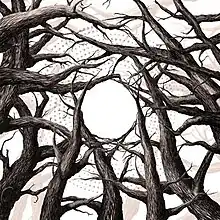 A ring of leave-less trees against a while background with their branches cross with each other, leaving a small circle in the centre.