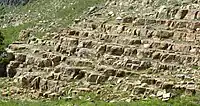 Swan Peak Quartzite (Ordovician) exposed just north of Tony Grove Lake, Cache County, Utah