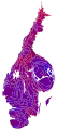 Cartogram of vote with each municipality rescaled in proportion to number of valid votes cast. Deeper blue represents a relative majority for the centre-right coalition, brighter red represents a relative majority for the left-wing coalition.