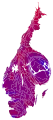 Cartogram of vote with each municipality rescaled in proportion to number of valid votes cast. Deeper blue represents a relative majority for the centre-right coalition, brighter red represents a relative majority for the left-wing coalition.