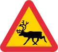 Reindeer