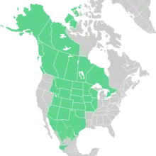 Symphyotrichum falcatum native distribution map: Canada — Alberta, British Columbia, Manitoba, Northwest Territories, Ontario, Saskatchewan, and Yukon; Mexico — Chihuahua, Coahuila, Durango, Jalisco, Nuevo León, and Sonora; US — Alaska, Arizona, Colorado, Idaho, Illinois, Iowa, Kansas, Minnesota, Missouri, Montana, Nebraska, New Mexico, North Dakota, Oklahoma, South Dakota, Texas, Utah, Wisconsin, and Wyoming.