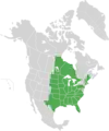 Map of North America with green shading. Data source Brouillet et.al., Flora of North America