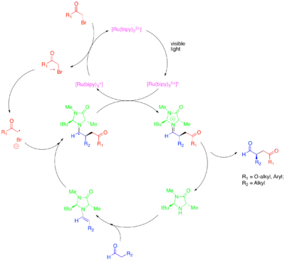 Diagram of Enantioselective Alkylation of Aldehydes via the synergistic combination of organo- and photoredox catalysis