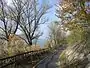 Bicycle path along the River Danube