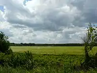 Great Hungarian Plain in Csongrád-Csanád County