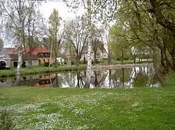 Pond in Třemešné