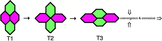 T1 Junction Exchange.