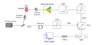 Schematic of a TCSPC setup