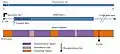 Annotated diagram of the TMEM229b gene (with its 3 exons), mature mRNA and protein domains. Functional peptide is predicted to take the form of a connexin 4-pass transmembrane subunit (seen below).