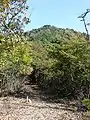 Mount Tashiro from the San-no-maru