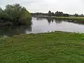 Confluence of the Tame (right) with the River Trent (left), at the northern edge of the National Memorial Arboretum.