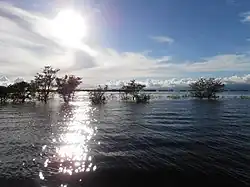 View of Tanguar Haor