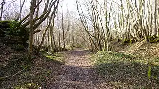 Welcoming path between trenches and mounds of slag