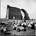 Taq-i Kisra, Baghdad, 1963