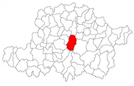 Location in Arad County