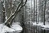 Tarvasjõgi river in Kõrvemaa Nature Park