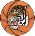 Taunton Tigers logo