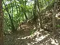 Mount Tavagnone, a glimpse of the mule track leading from the mount to the village of Fucina