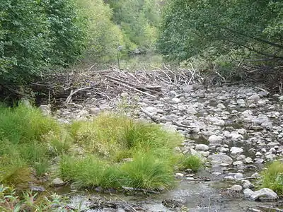 Beaver dam and pond on Taylor Creek taken September 23, 2012.