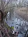 Teaneck Creek in December 2003 littered with debris before cleanup