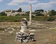 columns in field at the site of the temple today.