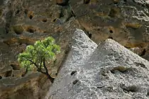 Tent-Rocks