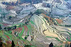 Image 30Ancient rice terraces in Yuanyang County, Yunnan (from History of agriculture)