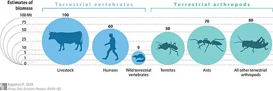 Image 9Biomass distribution of humans, livestock, and other animals (from Livestock)