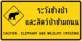 Caution Elephant crossing