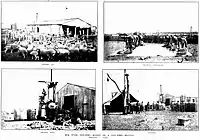 Collage of the stages of sheep shearing in north-west Western Australia.