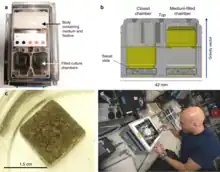 BioRock Experimental Unit of the space station biomining experiment