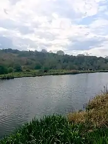 Hollins Vale, fishing ground.