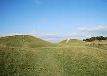 Burial mounds (barrows)