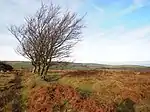 The Mound, Stoke Ridge, Stoke Pero