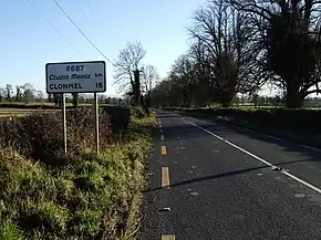 The R687 road Ireland.JPG