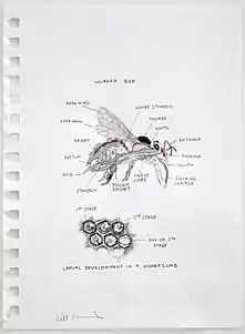 A project about trading goats, whale blubber, crude oil, honey.