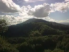 The Wrekin from Ercall Hill.