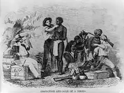 There are seven men in this illustration. On the left, a white man smokes a cigar while observing the slave presented to him by the second white man. The second white man shows him feeling the slave's face as he stands. Behind the slave are three black slave traders, armed with rifles and negotiating with a white trader. They are recognizable by their uniforms and headgear.