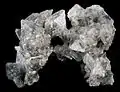 Thénardite, cluster of  transparent crystals from Soda Lake, California. Width of cluser is 9 cm (3.5 in).