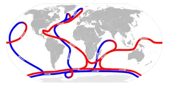 A map of the planet shows the direction of thermohaline circulation in red and blue.