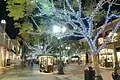 Trees along Third Street lit up for the Holidays.