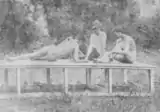 An Eakins photograph from 1883, discovered in 1973. "The scene with the three men on a platform may show the setting up of a pose—possibly for the reclining figure in The Swimming Hole."