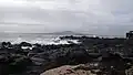 Thornes Bay end of the Takapuna Fossil Forest